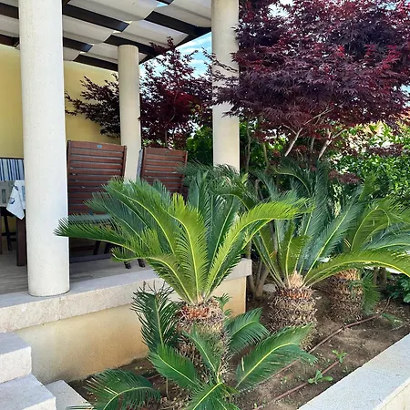 Navigantes Superior Daire Zadar