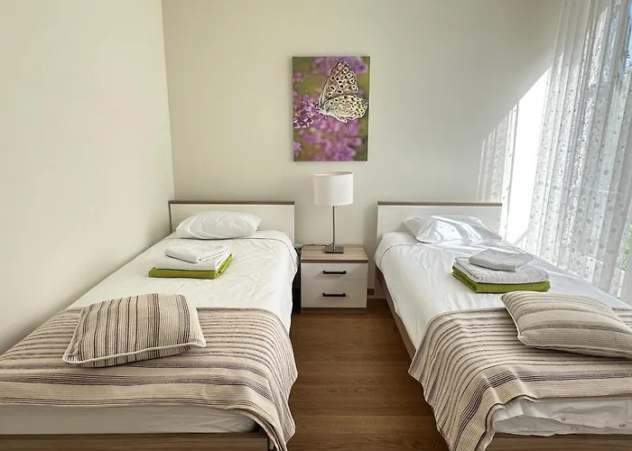 Navigantes Superior *