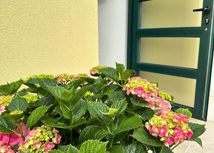 アパート Navigantes Superior *